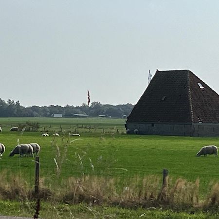 Gastsuite Het Duinroosje Met Hottub Op Het Prive Terras! Den Burg Exterior foto